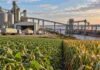 El agro como motor exportador: la proyección que apunta a duplicar el aporte de la agroindustria en una década Cultivos, silos, camiones y un buque granelero representan la cadena agroindustrial argentina y su potencial de crecimiento exportador hacia 2035.