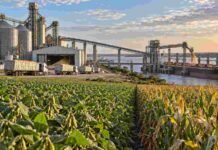 El agro como motor exportador: la proyección que apunta a duplicar el aporte de la agroindustria en una década Cultivos, silos, camiones y un buque granelero representan la cadena agroindustrial argentina y su potencial de crecimiento exportador hacia 2035.