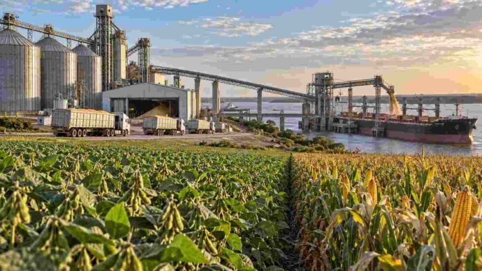 Cultivos, silos, camiones y un buque granelero representan la cadena agroindustrial argentina y su potencial de crecimiento exportador hacia 2035.