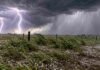 Alerta naranja en el NEA: tormentas severas pueden dejar 100 mm y ráfagas de más de 90 km/h Tormenta severa en un campo del NEA con fuertes relámpagos, granizo, ráfagas intensas y cortina de lluvia avanzando sobre un entorno rural.