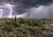 Alerta naranja en el NEA: tormentas severas pueden dejar 100 mm y ráfagas de más de 90 km/h Tormenta severa en un campo del NEA con fuertes relámpagos, granizo, ráfagas intensas y cortina de lluvia avanzando sobre un entorno rural.