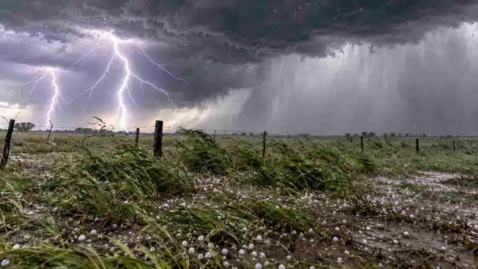 alerta-naranja-nea-tormentas-severas-granizo-relampagos Tormenta severa en un campo del NEA con fuertes relámpagos, granizo, ráfagas intensas y cortina de lluvia avanzando sobre un entorno rural.