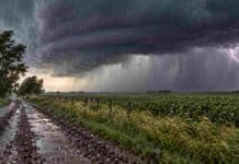 El tiempo se agrava en cuatro provincias: tormentas severas, granizo y ráfagas de 100 km/h Tormenta severa con lluvias intensas, viento fuerte y actividad eléctrica sobre una zona rural bajo alerta naranja.