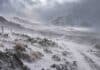 Alerta por nevadas en el NOA: prevén hasta 25 cm y posible viento blanco Nevadas y viento blanco en la cordillera del NOA bajo alerta meteorológica