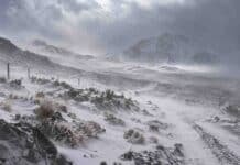 Alerta por nevadas en el NOA: prevén hasta 25 cm y posible viento blanco Nevadas y viento blanco en la cordillera del NOA bajo alerta meteorológica