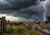 Alerta por tormentas: avanzan lluvias de hasta 50 mm con granizo en Entre Ríos Tormenta eléctrica sobre un campo rural de Entre Ríos, con un relámpago, camino embarrado, tractor y ganado bajo cielo oscuro.