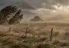 Ráfagas de hasta 100 km/h y Zonda ponen bajo alerta a nueve provincias Fuertes ráfagas de viento levantan polvo sobre un paisaje rural argentino durante una alerta meteorológica.