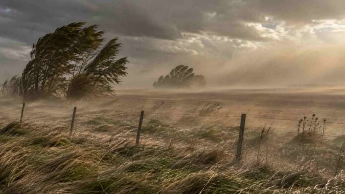Fuertes ráfagas de viento levantan polvo sobre un paisaje rural argentino durante una alerta meteorológica.