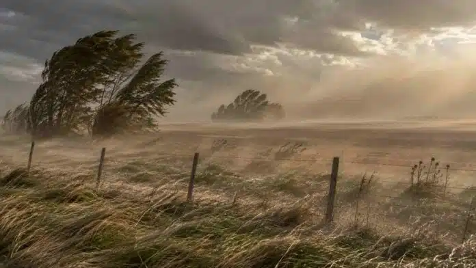 Fuertes ráfagas de viento levantan polvo sobre un paisaje rural argentino durante una alerta meteorológica.
