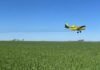 FeArCA alerta por la ley de ecocidio: “Producir dentro de la ley no puede ser delito” Avión aplicador sobrevuela un lote agrícola durante una jornada de trabajo a campo.