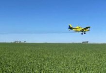 FeArCA alerta por la ley de ecocidio: “Producir dentro de la ley no puede ser delito” Avión aplicador sobrevuela un lote agrícola durante una jornada de trabajo a campo.