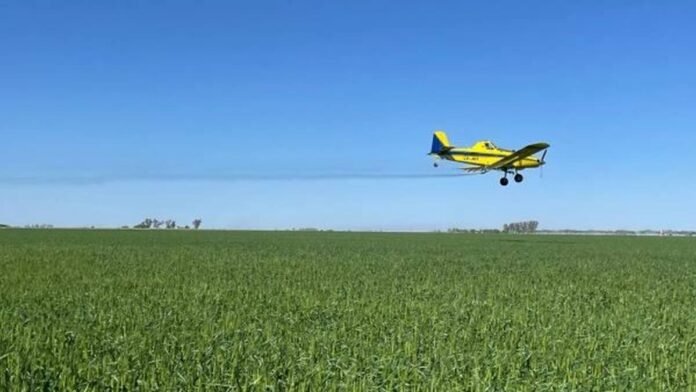 Avión aplicador sobrevuela un lote agrícola durante una jornada de trabajo a campo.