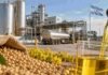 Biodiesel: Argentina produce más, pero sigue cerca de sus mínimos históricos Producción de biodiésel a partir de soja en una planta industrial argentina, con tanques de almacenamiento y combustible procesado.