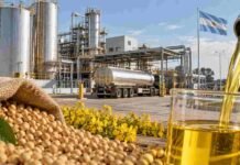 Biodiesel: Argentina produce más, pero sigue cerca de sus mínimos históricos Producción de biodiésel a partir de soja en una planta industrial argentina, con tanques de almacenamiento y combustible procesado.