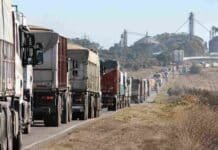 10.000 camiones por día y 54 millones de toneladas guardadas: la logística de granos trabaja al límite Larga fila de camiones con granos rumbo a una terminal portuaria, en una escena que refleja la presión logística de la cosecha récord en Argentina.