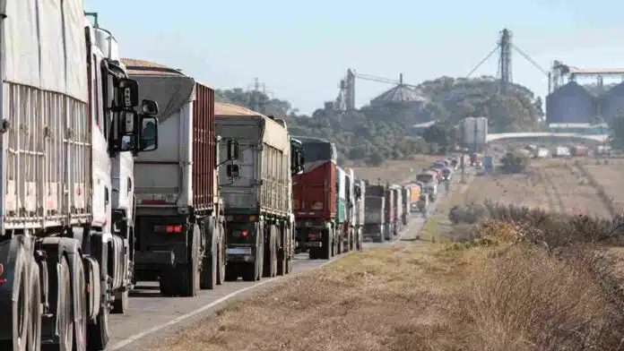 Larga fila de camiones con granos rumbo a una terminal portuaria, en una escena que refleja la presión logística de la cosecha récord en Argentina.