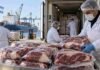 Mercosur-UE: el Foro Mercosur de la Carne reclama transparencia en la distribución de la cuota Operarios manipulan cortes de carne vacuna envasados al vacío en una terminal portuaria, listos para exportación, con un buque de carga al fondo.