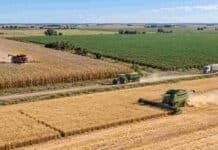 La soja lidera de nuevo: US$22.000 millones de los US$42.200 millones que proyecta la BCR para la próxima campaña Vista aérea de una gran cosecha en campos argentinos, con cosechadoras y camiones trabajando entre lotes de trigo, maíz y soja durante la campaña 2026/27.