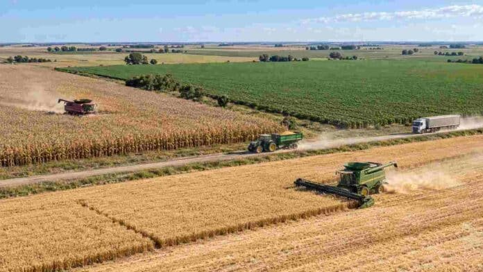 cosecha-argentina-155-millones-toneladas-ruralnet Vista aérea de una gran cosecha en campos argentinos, con cosechadoras y camiones trabajando entre lotes de trigo, maíz y soja durante la campaña 2026/27.