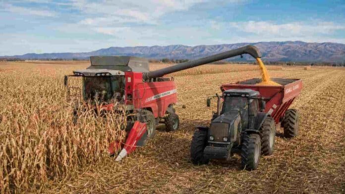 cosecha-maiz-cordoba-massey-ferguson-valtra-ascanelli Cosecha de maíz en Córdoba con cosechadora Massey Ferguson descargando granos en una tolva Ascanelli tirada por un tractor Valtra, con las Sierras de Córdoba al fondo.