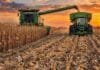La Pampa: maíz récord pese a la cosecha demorada y la nueva apuesta por soja y girasol Cosechadora de maíz descarga granos en una tolva durante la cosecha, con un cielo de atardecer en tonos naranjas