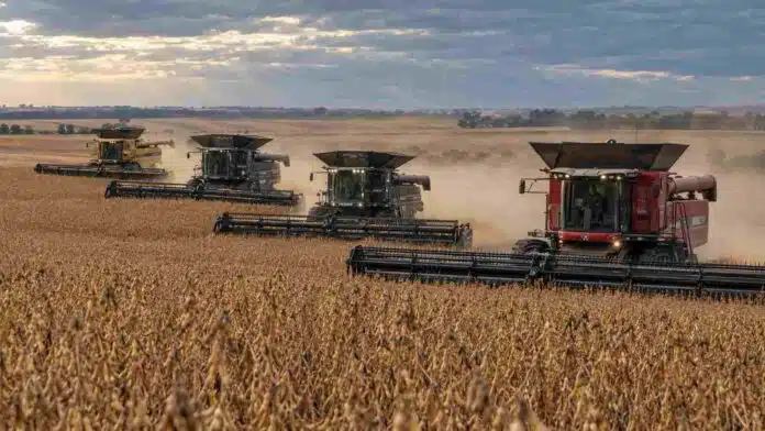 Cuatro cosechadoras cosechan soja en formación escalonada en un lote maduro, con una Massey Ferguson, dos Fendt Ideal y una Challenger, en una escena rural de estilo fotoperiodístico.