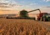 Argentina y Brasil producían parecido hace 25 años: hoy el vecino cosecha 2,5 veces más Cosecha de soja en un campo de Brasil con una cosechadora descargando granos en una tolva durante la recolección.