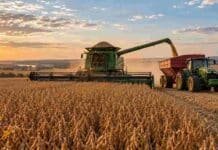 Argentina y Brasil producían parecido hace 25 años: hoy el vecino cosecha 2,5 veces más Cosecha de soja en un campo de Brasil con una cosechadora descargando granos en una tolva durante la recolección.