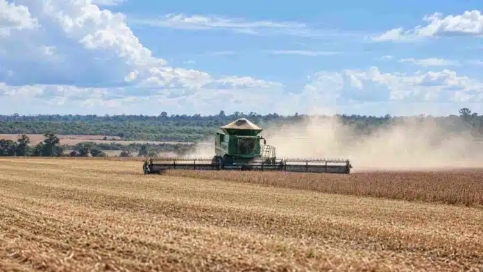 cosecha-soja-cosechadora-lote-agricola Cosechadora trabajando en un lote de soja durante la recolección, con una nube de polvo detrás de la máquina.