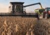 CRA cuestionó la nueva regla de la CNV y reclamó bajar el costo de la bancarización Cosecha de soja en un campo argentino, con una cosechadora Fendt Ideal descargando granos en un tractor Massey Ferguson con tolva autodescargable, en plena jornada de trabajo.