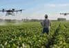 El costo de aplicar con drones llega a US$ 3,34/ha: qué falta sumar antes de poner una tarifa Drones agrícolas realizan aplicaciones sobre un cultivo mientras un operario supervisa el trabajo en el lote.