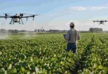 El costo de aplicar con drones llega a US$ 3,34/ha: qué falta sumar antes de poner una tarifa Drones agrícolas realizan aplicaciones sobre un cultivo mientras un operario supervisa el trabajo en el lote.