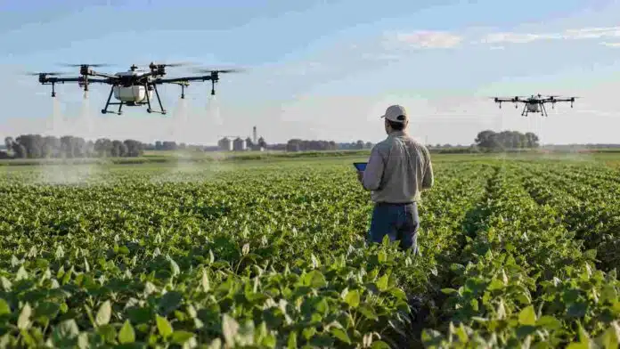 Drones agrícolas realizan aplicaciones sobre un cultivo mientras un operario supervisa el trabajo en el lote.