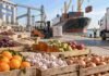 Economías regionales alcanzan su mayor nivel exportador desde 2004: US$ 5.757 millones Productos de economías regionales argentinas preparados para exportación en una terminal portuaria, con frutas, miel, legumbres y hortalizas.