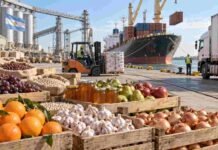Economías regionales alcanzan su mayor nivel exportador desde 2004: US$ 5.757 millones Productos de economías regionales argentinas preparados para exportación en una terminal portuaria, con frutas, miel, legumbres y hortalizas.