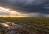 El Niño llegará hasta 2027: la primavera, provincia por provincia Cultivo recién emergido en la llanura pampeana bajo lluvias y nubes de tormenta con claros de sol