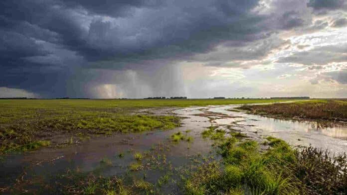 Campo agrícola con excesos de agua y lluvias intensas asociadas al fenómeno de El Niño en la región pampeana.