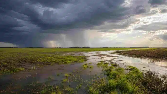 el-nino-lluvias-excesos-campo-argentino Campo agrícola con excesos de agua y lluvias intensas asociadas al fenómeno de El Niño en la región pampeana.