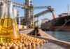 Récord para el aceite de soja argentino y nuevas oportunidades para maíz y trigo Soja, maíz y trigo junto a una terminal agroexportadora argentina, en una imagen que representa el récord de exportaciones de aceite de soja y el avance de los embarques de granos.