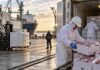 Carne vacuna: el Mercosur perdió ritmo y Argentina tuvo su mejor mes exportador de 2026 Operarios cargan carne vacuna refrigerada para exportación en un puerto, en una escena vinculada al crecimiento de los envíos argentinos y la menor oferta del Mercosur.