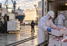 Carne vacuna: el Mercosur perdió ritmo y Argentina tuvo su mejor mes exportador de 2026 Operarios cargan carne vacuna refrigerada para exportación en un puerto, en una escena vinculada al crecimiento de los envíos argentinos y la menor oferta del Mercosur.