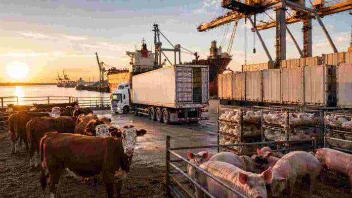 Ganado bovino, porcinos y aves junto a contenedores y un buque de carga, en una escena vinculada a las exportaciones argentinas de proteínas animales.