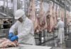 Carne vacuna: la faena cayó 12,9% y el consumo per cápita bajó a 46 kilos Operarios trabajan en una planta frigorífica durante el procesamiento de medias reses bovinas en una línea de faena vacuna.
