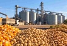 Futuros y opciones agro alcanzan un récord de 74,6 Mt en 2026 Granos de maíz, soja y trigo frente a instalaciones de acopio, en una imagen representativa del crecimiento de los futuros y opciones agrícolas en Argentina.