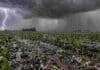 Cinco veces más denuncias que el máximo de agosto: el granizo vuelve a poner al seguro en foco Tormenta con caída de granizo sobre un campo cultivado, con relámpagos, lluvia intensa y plantas dañadas en primer plano.