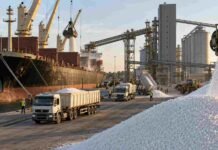 Llegan 200.000 toneladas de urea para el maíz 2026/27, aunque el precio empieza a subir Descarga de urea importada en una terminal portuaria argentina, con buque granelero, camiones y fertilizante destinado a la campaña de maíz 2026/27.