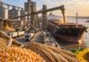 Maíz, trigo, soja y girasol: el saldo exportable que garantiza estabilidad cambiaria hacia fin de año Terminal portuaria de granos con silos, camiones y un buque cargando soja, maíz, trigo y girasol, en una imagen representativa de las exportaciones del agro argentino.