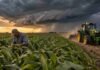 Pronóstico para sábado, domingo y lunes: las lluvias se reorganizan y el lunes alcanzan gran parte del centro y norte Productor rural en un lote agrícola mientras un tractor trabaja bajo un cielo de tormenta con relámpago, en una escena de actividad agropecuaria