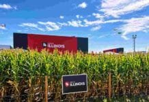 Illinois lanzará un nuevo maíz tropical que busca adelantar hasta 20 días la cosecha Lote de maíz de Illinois Semillas en una exposición agrícola, donde la compañía presentará el nuevo híbrido tropical IS 7575 VIP3.