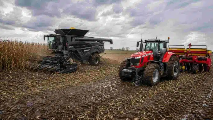 Cosechadora Fendt Ideal cosechando maíz y tractor Massey Ferguson sembrando sobre rastrojo con sembradora Super Walter en un campo con suelo húmedo.